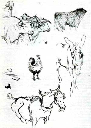 Тулуз-Лотрек. Животные. Рисунки для книги Ж. Ренара Естественные истории, 1897